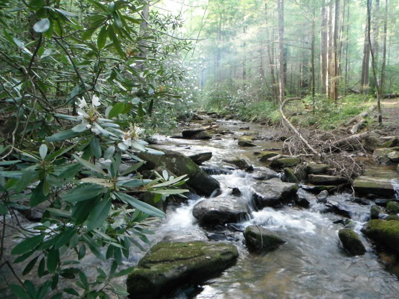 DSCF0029.jpg