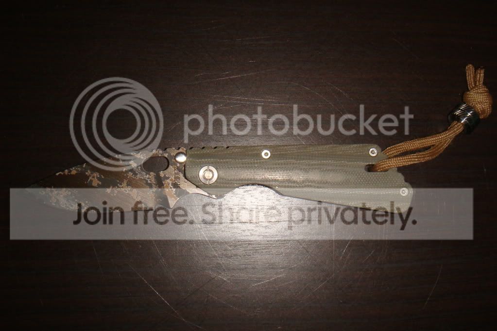 DSC02640.jpg