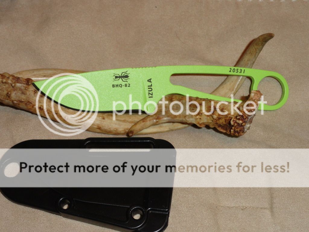 NativeCFJuiceIzulaBlur008.jpg