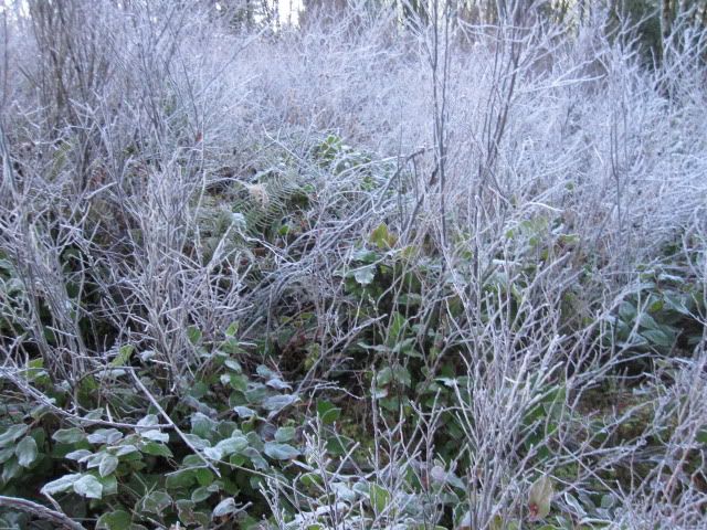 IMG_1885.jpg