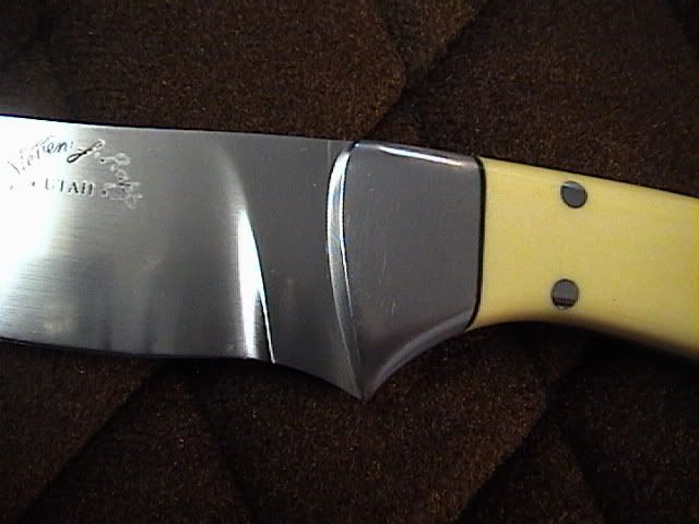 rapp006.jpg