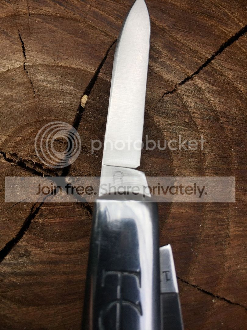 image_46.jpg