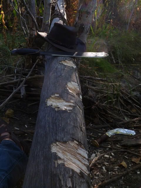 P1010058.jpg