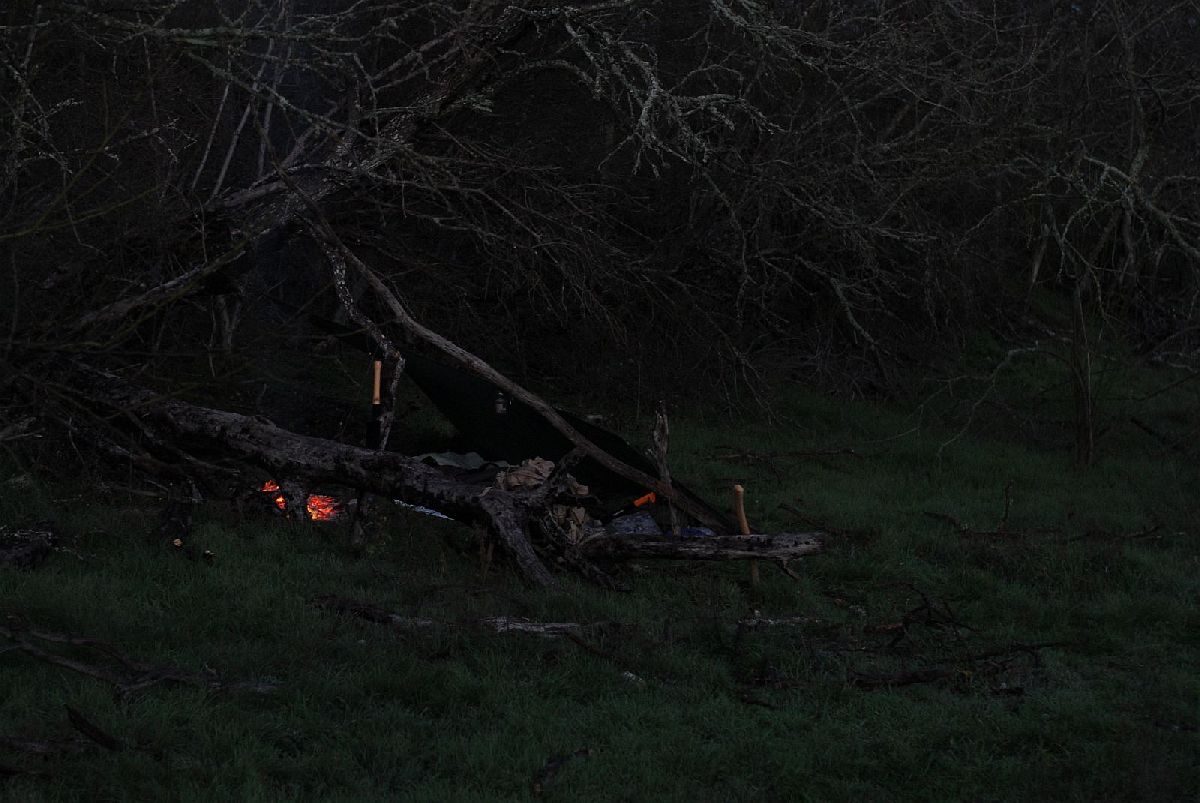 DSC_5621b.jpg