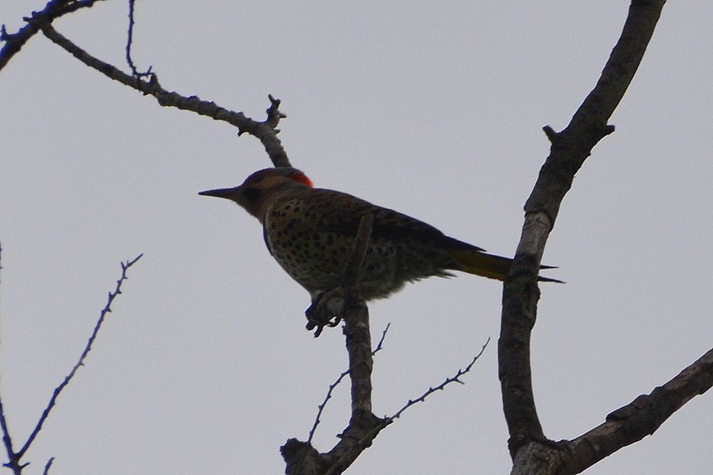 DSC_3709.jpg