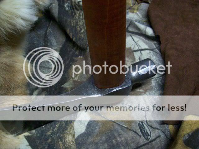 newpics506.jpg