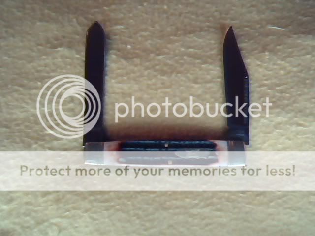 Picture42.jpg