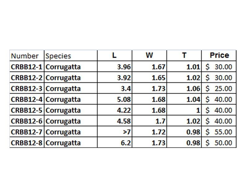 CorrugattaSizeChart.jpg