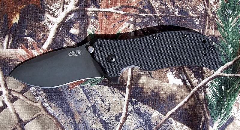 ZT0350.jpg