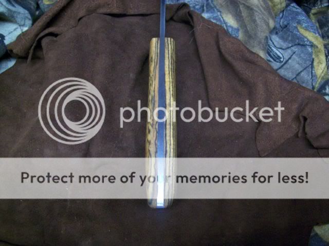 100_3952.jpg