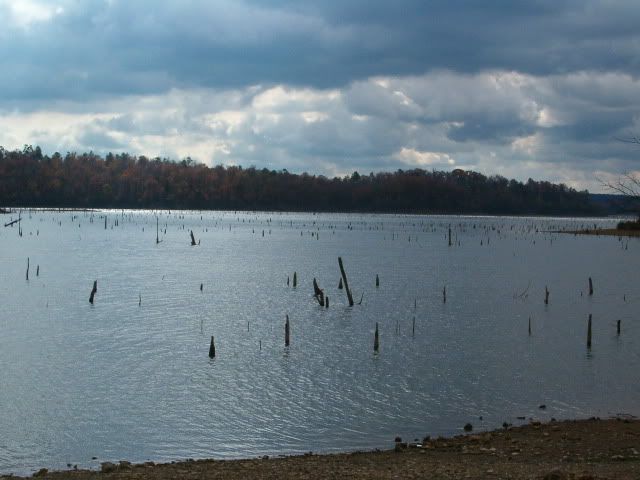 030.jpg