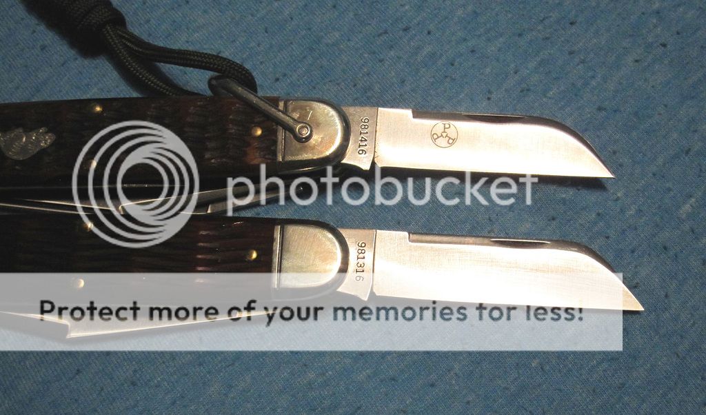 IMG_8331_zpse5arkuez.jpg~original