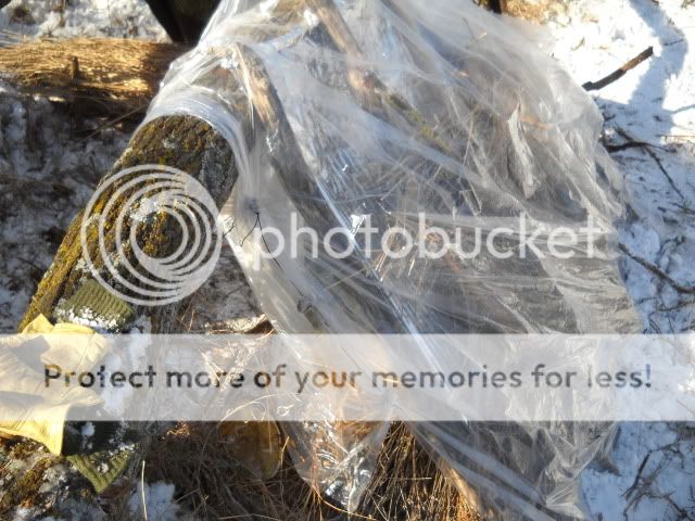 Plastibonleanto.jpg