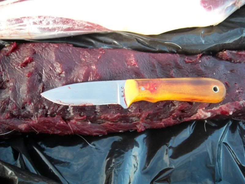 hunting2010029.jpg