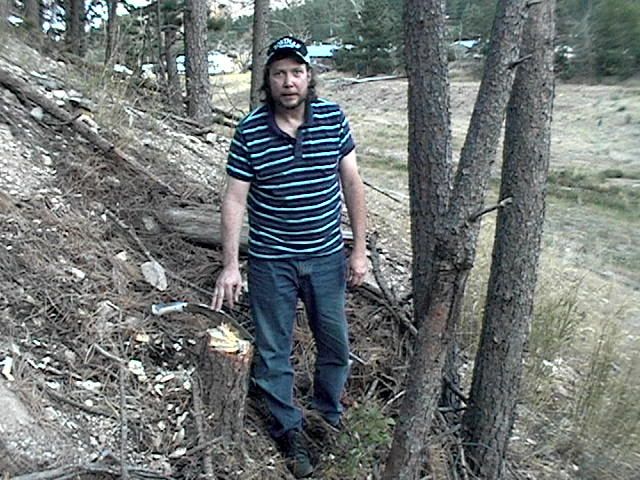 BDCfellsatree006.jpg