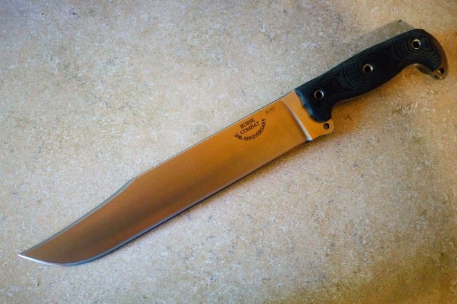 asbmp2-660x440.jpg