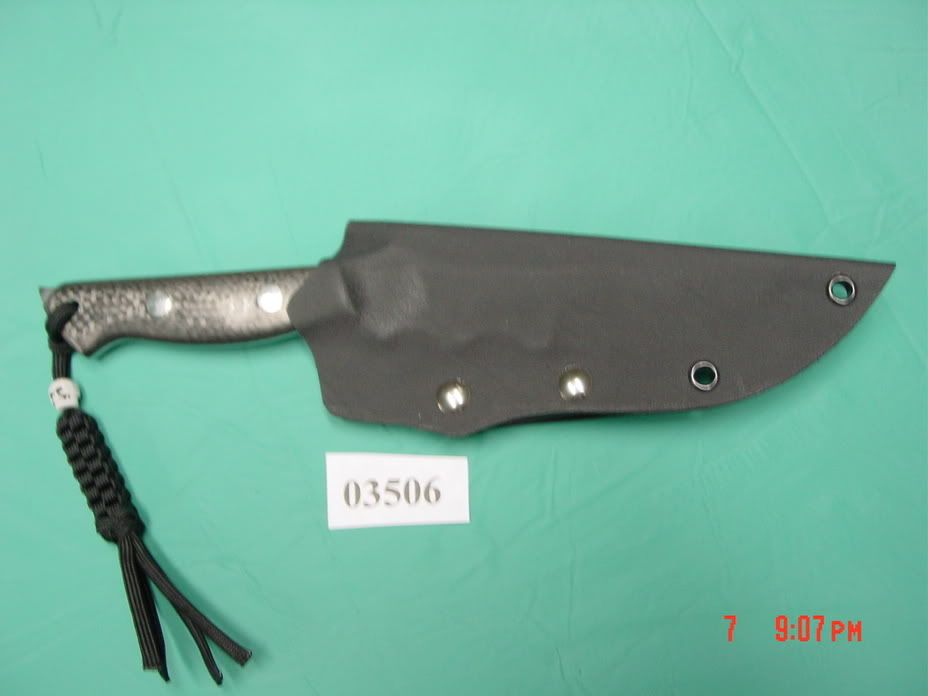DSC02231.jpg
