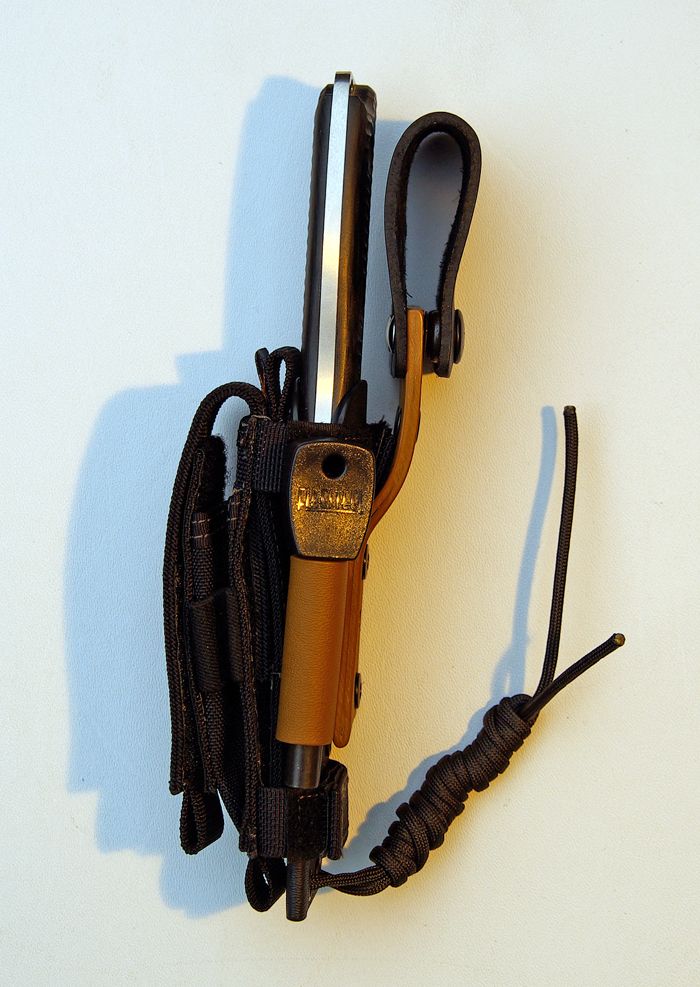 SwampratHairyCarrytechnicalkydexshe.jpg