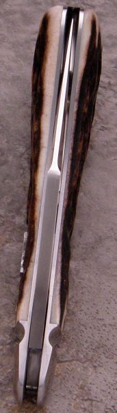 tbose-378-staglannysclip-35.jpg