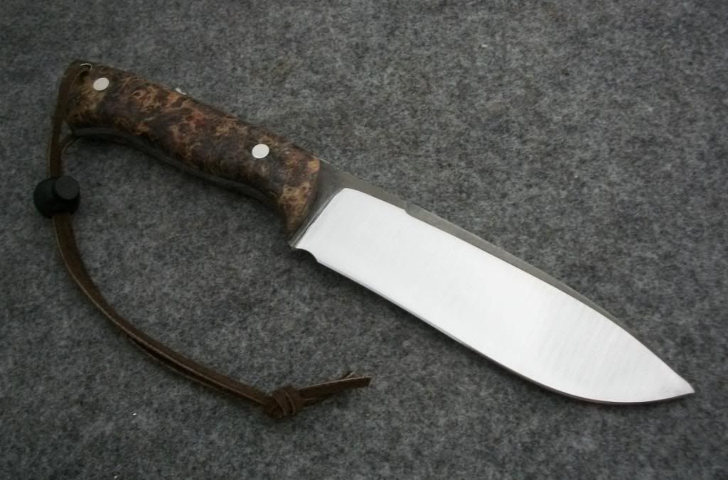 bechop015.jpg