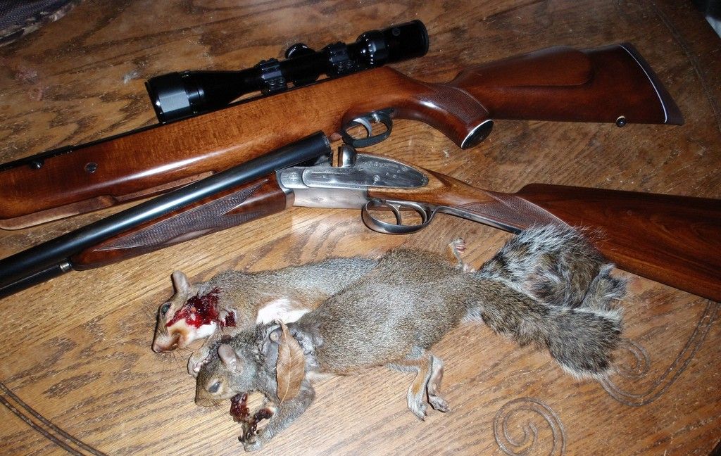 Squirrel%206%20and%207%20of%202016-2017.jpg