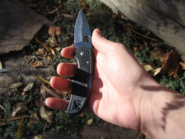 native-in-hand-0_scaled.jpg