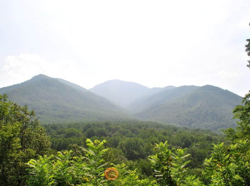 DSC_4806.jpg