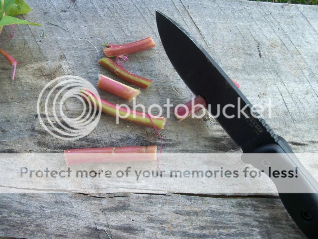 100_5236.jpg