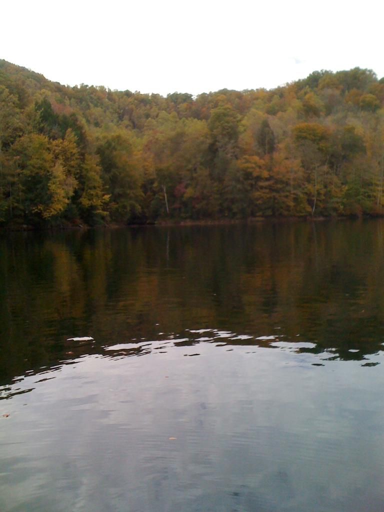 010-6.jpg