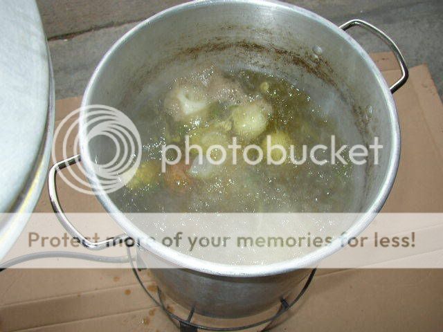 fishboil5.jpg