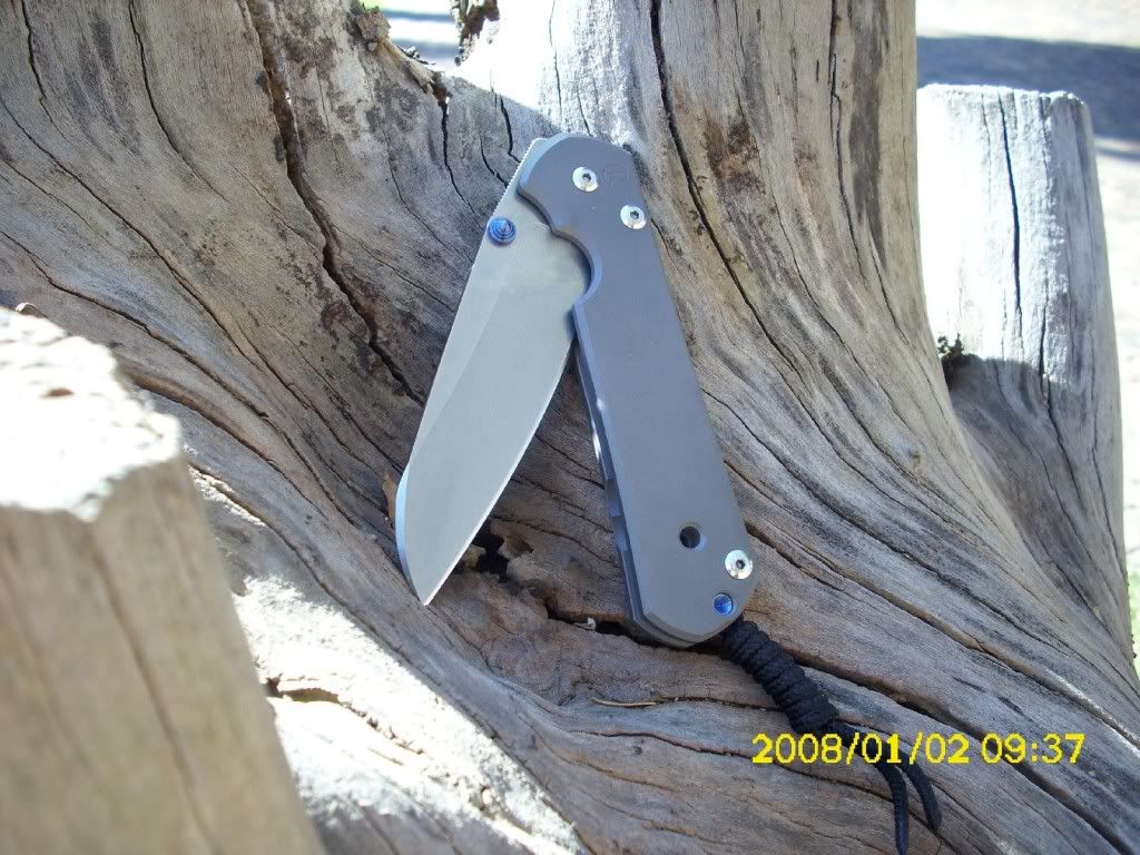 DSCI03691.jpg
