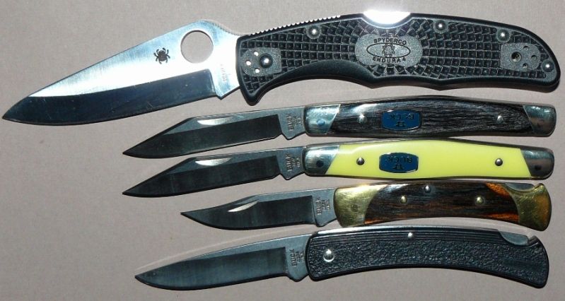 smallBuckcomparo007.jpg