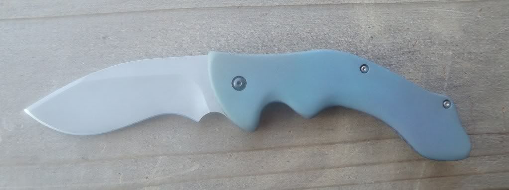 flipper12710045.jpg