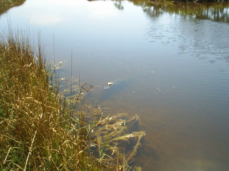 S3010006.jpg