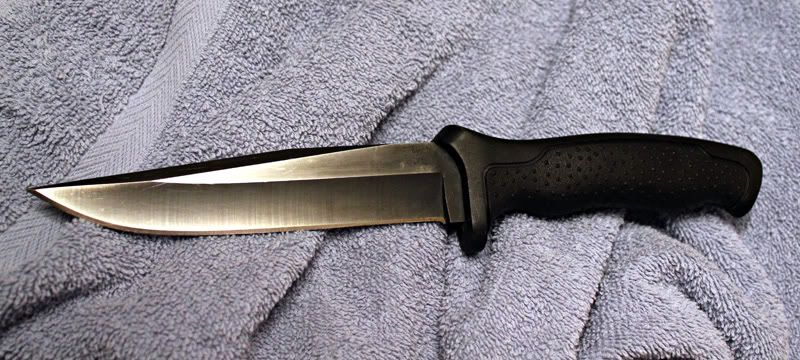 650.jpg