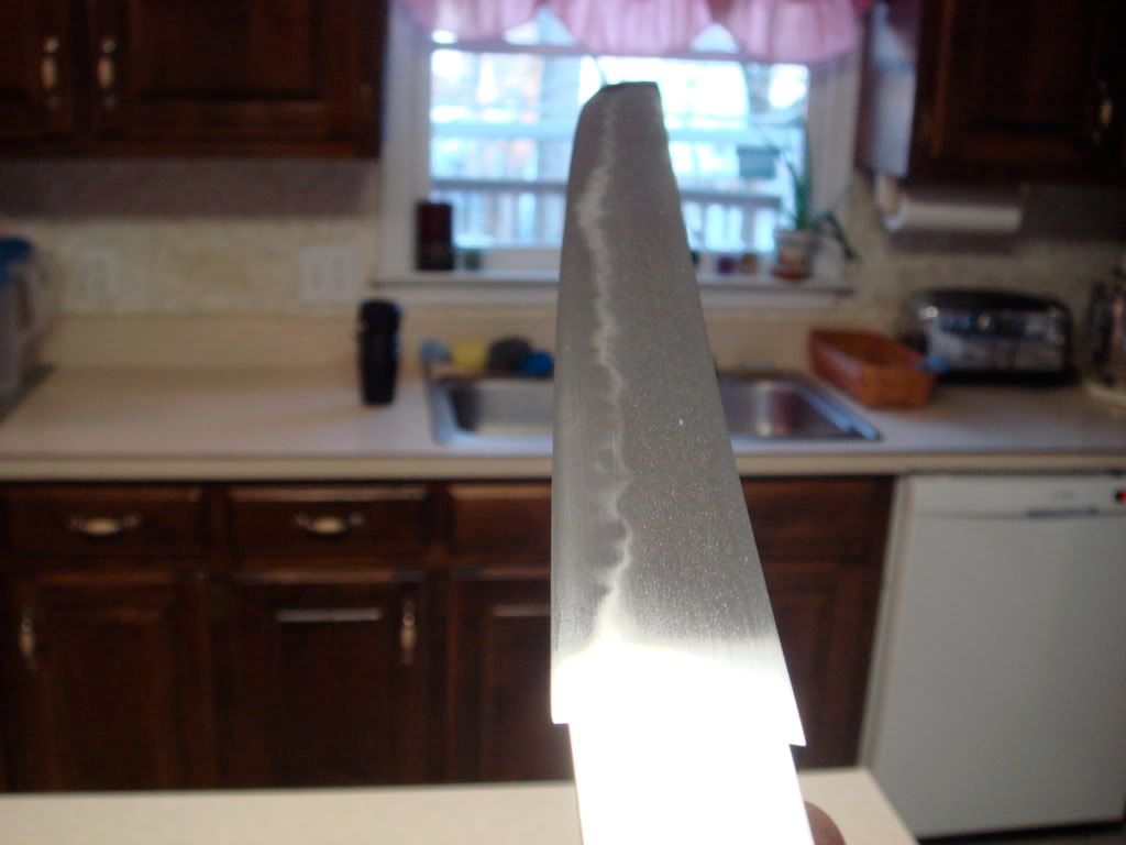 DSC02847.jpg
