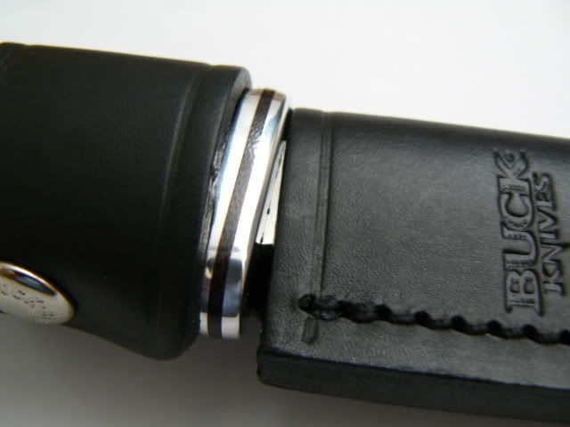 1181.jpg