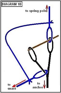 DIAGRAM1B.jpg