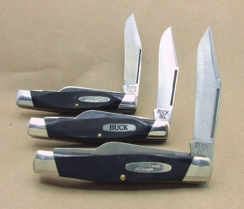 Buck307-1.jpg