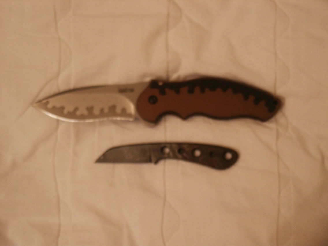 PICT0081.jpg