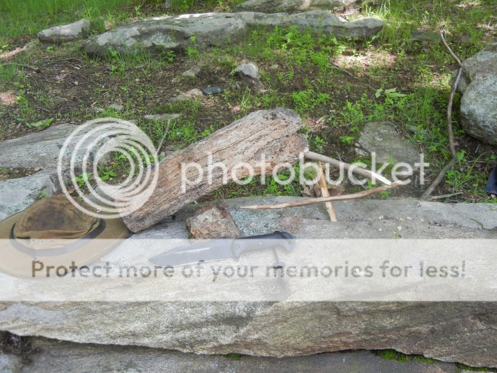 Newpics092-1.jpg