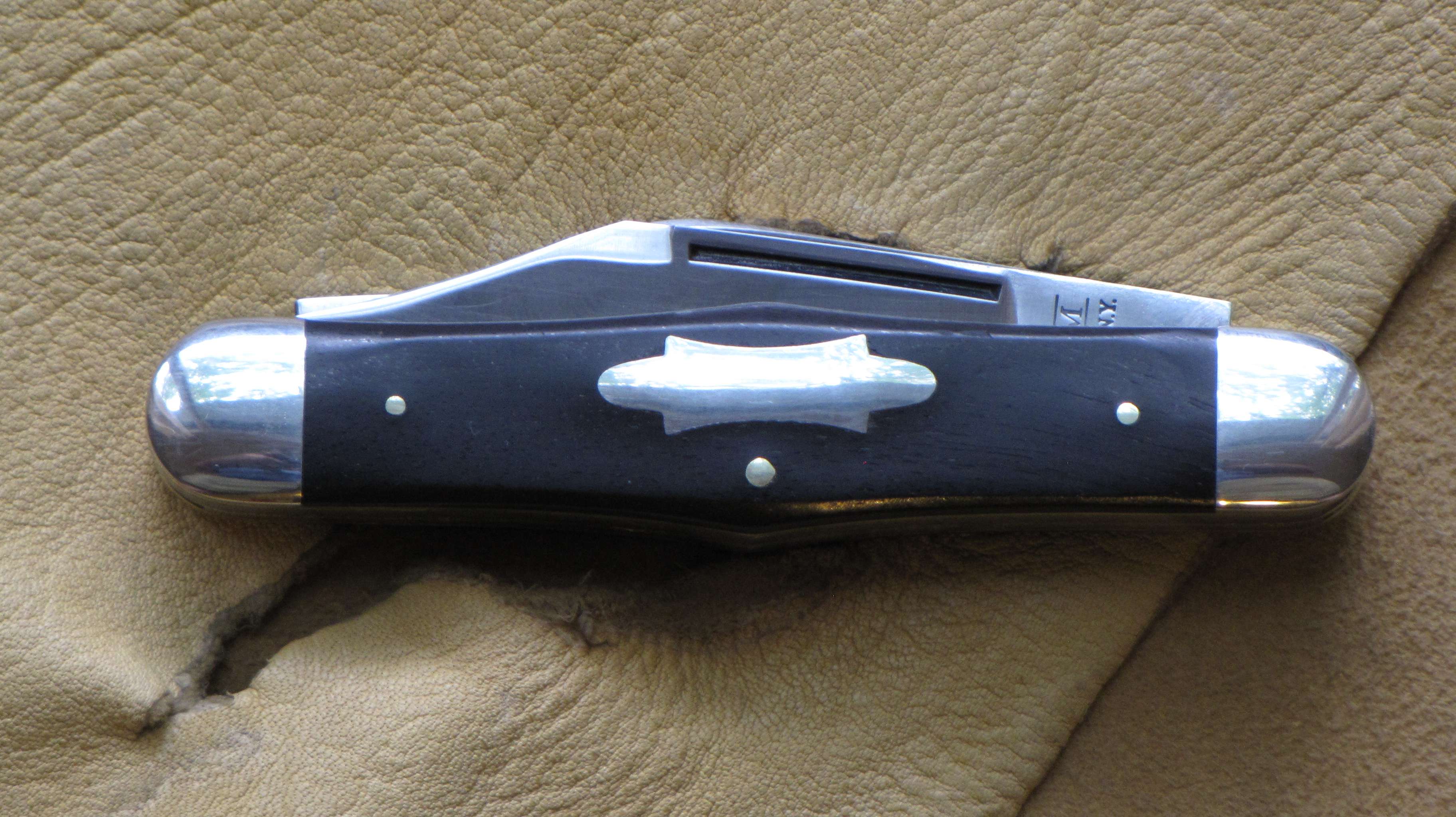 img1246h.jpg