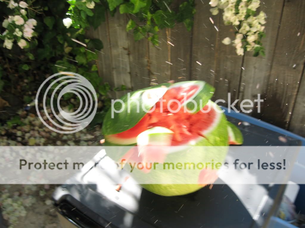sprayingmelonbits-1.jpg