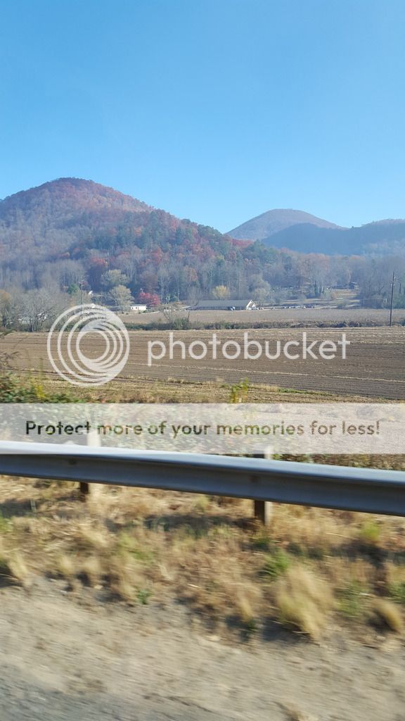 20161119_101617_zpsja9tk0og.jpg