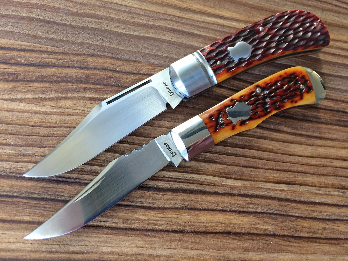 Dunlap%20pair%2005.jpg