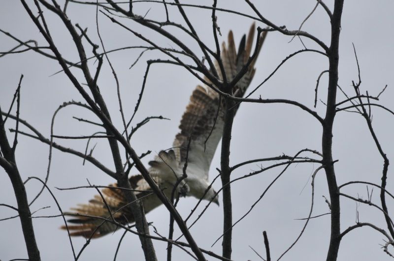 DSC_0364.jpg