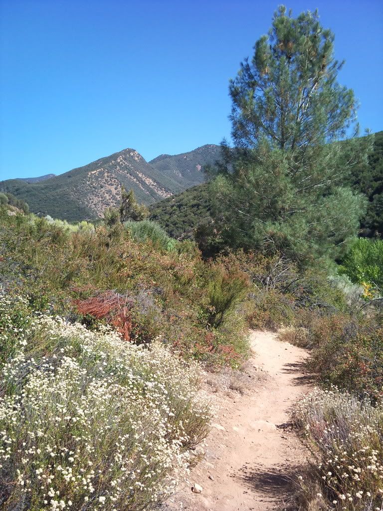 2011-08-09152125.jpg