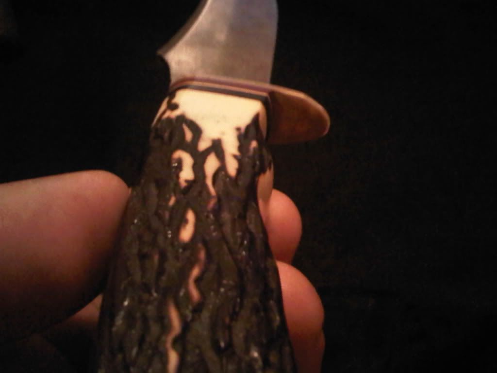 IMG00213-20101208-2147.jpg