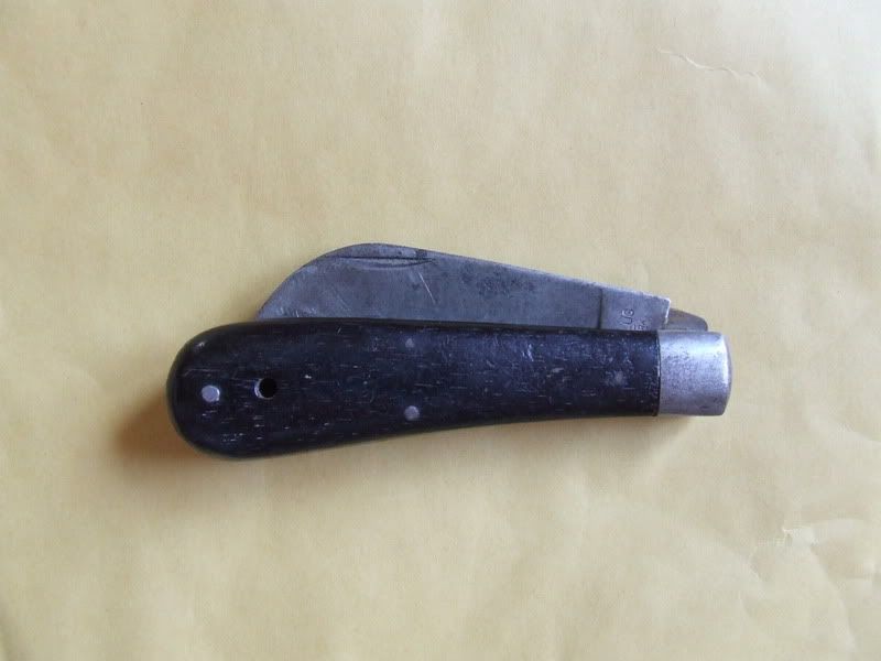 DSCF1396.jpg