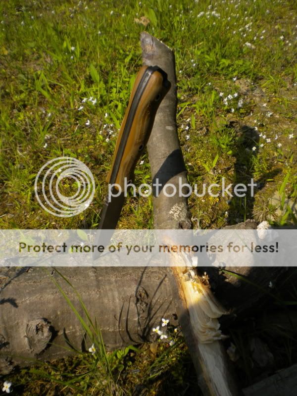 DSCN3129.jpg